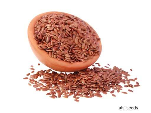 The Power of Alsi Seeds: Tiny Superfoods for Big Health Benefits